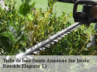 Taille de haie  83136