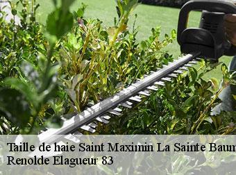 Taille de haie  83470
