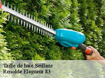 Taille de haie  seillans-83440 Renolde Elagueur 83