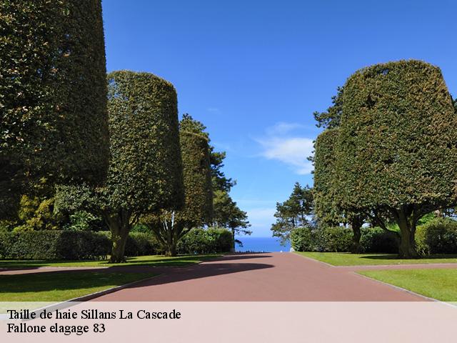 Taille de haie sillans-la-cascade-83690 Fallone elagage 83