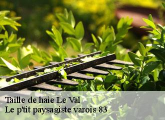 Taille de haie le-val-83143 Le p'tit paysagiste varois 83