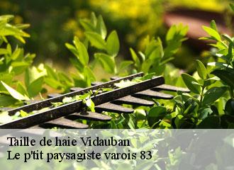 Taille de haie vidauban-83550 Le p'tit paysagiste varois 83
