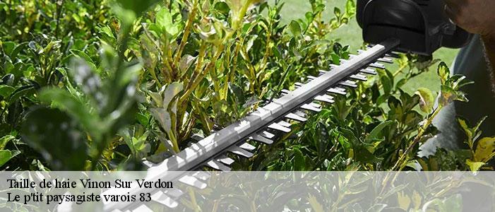 Taille de haie 83560