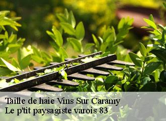 Taille de haie vins-sur-caramy-83170 Le p'tit paysagiste varois 83