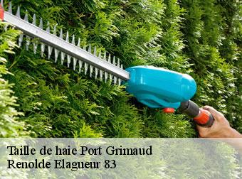 Taille de haie  port-grimaud-83310 Renolde Elagueur 83