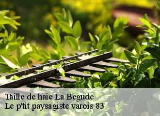 Taille de haie  la-begude-83330 Le p'tit paysagiste varois 83 