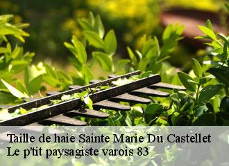 Taille de haie sainte-marie-du-castellet-83330 Le p'tit paysagiste varois 83