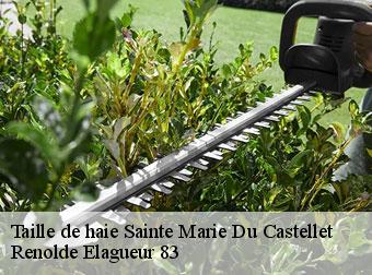 Taille de haie 83330