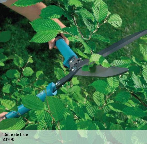 Taille de haie  83700