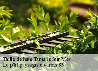 Taille de haie  tamaris-sur-mer-83500 Le p'tit paysagiste varois 83