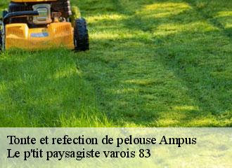 Tonte et refection de pelouse  ampus-83111 Le p'tit paysagiste varois 83