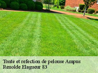 Tonte et refection de pelouse ampus-83111 Renolde Elagueur 83