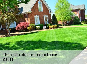Tonte et refection de pelouse 83111
