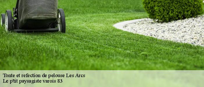 Tonte et refection de pelouse  83460