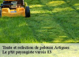 Tonte et refection de pelouse  artigues-83560 Le p'tit paysagiste varois 83