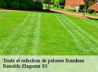 Tonte et refection de pelouse bauduen-83630 Renolde Elagueur 83