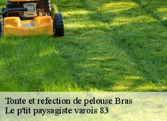 Tonte et refection de pelouse  bras-83149 Le p'tit paysagiste varois 83