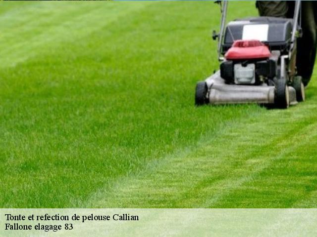 Tonte et refection de pelouse  callian-83440 Fallone elagage 83