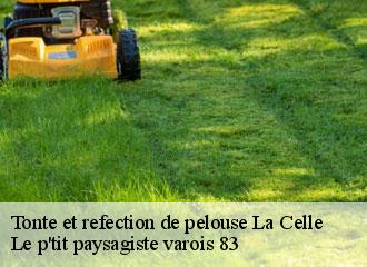 Tonte et refection de pelouse  la-celle-83170 Le p'tit paysagiste varois 83