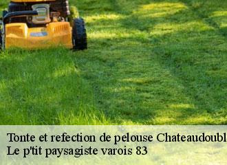 Tonte et refection de pelouse  chateaudouble-83300 Le p'tit paysagiste varois 83