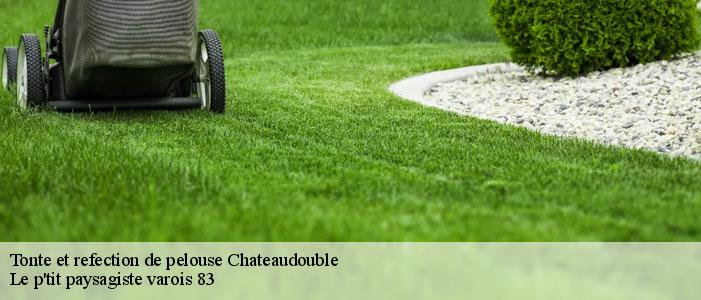 Tonte et refection de pelouse  83300