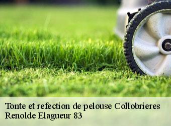 Tonte et refection de pelouse  83610