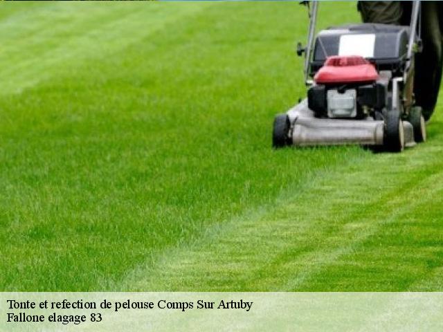 Tonte et refection de pelouse comps-sur-artuby-83840 Fallone elagage 83