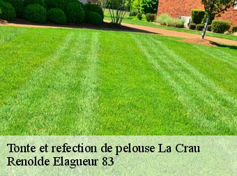 Tonte et refection de pelouse la-crau-83260 Renolde Elagueur 83
