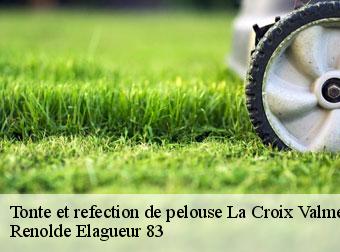 Tonte et refection de pelouse  83420