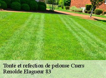 Tonte et refection de pelouse cuers-83390 Renolde Elagueur 83