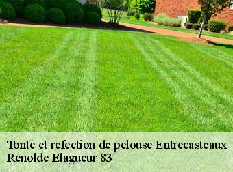 Tonte et refection de pelouse entrecasteaux-83570 Renolde Elagueur 83