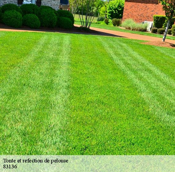 Tonte et refection de pelouse 83136