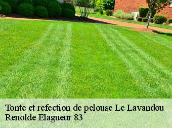 Tonte et refection de pelouse le-lavandou-83980 Renolde Elagueur 83