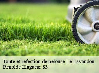 Tonte et refection de pelouse 83980