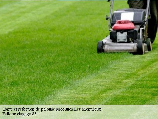 Tonte et refection de pelouse meounes-les-montrieux-83136 Fallone elagage 83