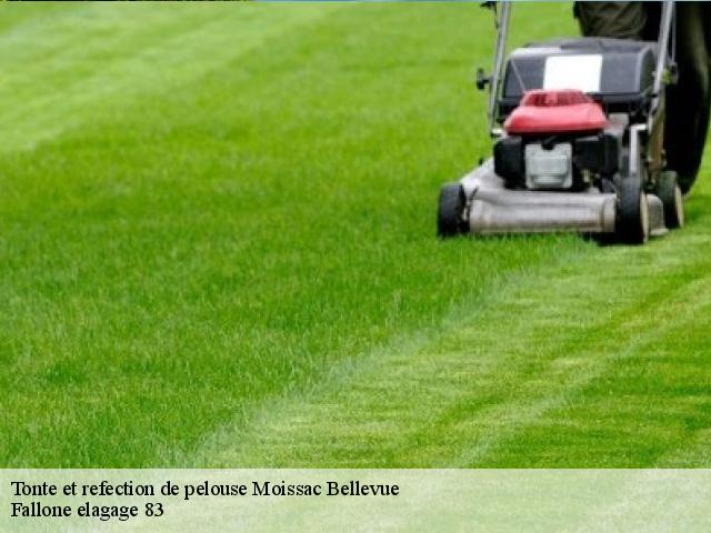 Tonte et refection de pelouse  moissac-bellevue-83630 Fallone elagage 83