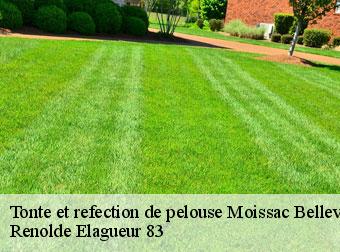 Tonte et refection de pelouse  moissac-bellevue-83630 Renolde Elagueur 83
