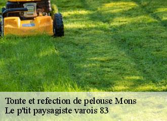 Tonte et refection de pelouse  mons-83440 Le p'tit paysagiste varois 83