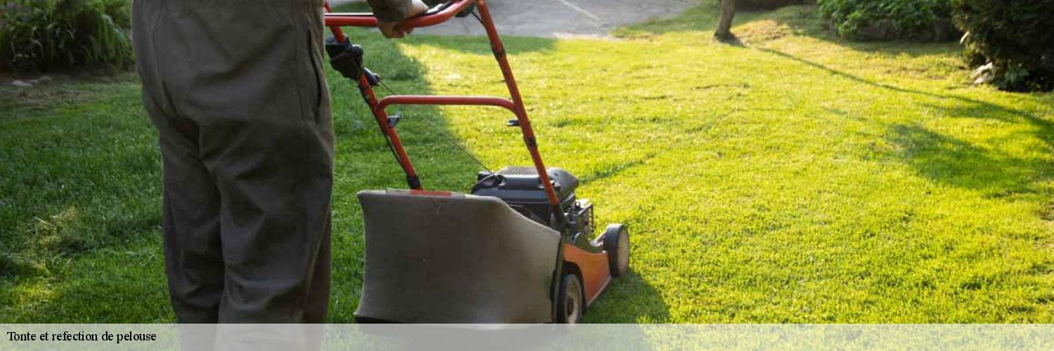 Tonte et refection de pelouse 83570