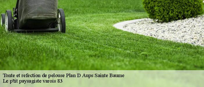 Tonte et refection de pelouse  83640