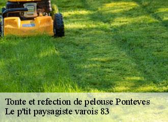 Tonte et refection de pelouse ponteves-83670 Le p'tit paysagiste varois 83