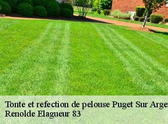 Tonte et refection de pelouse puget-sur-argens-83480 Renolde Elagueur 83