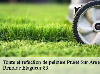 Tonte et refection de pelouse 83480