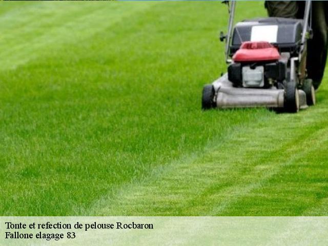 Tonte et refection de pelouse rocbaron-83136 Fallone elagage 83