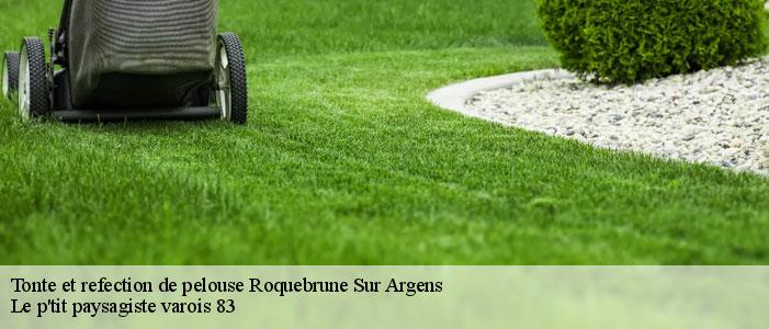 Tonte et refection de pelouse  83520