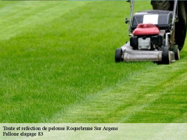 Tonte et refection de pelouse  roquebrune-sur-argens-83520 Fallone elagage 83