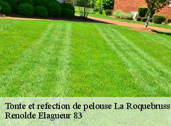 Tonte et refection de pelouse la-roquebrussanne-83136 Renolde Elagueur 83