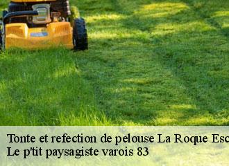 Tonte et refection de pelouse  la-roque-esclapon-83840 Le p'tit paysagiste varois 83