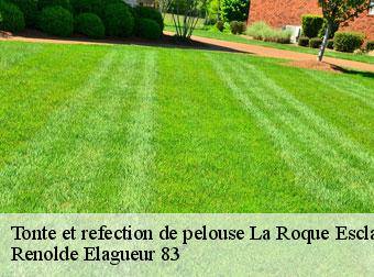 Tonte et refection de pelouse la-roque-esclapon-83840 Renolde Elagueur 83