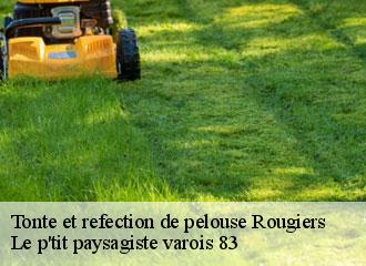 Tonte et refection de pelouse rougiers-83170 Le p'tit paysagiste varois 83